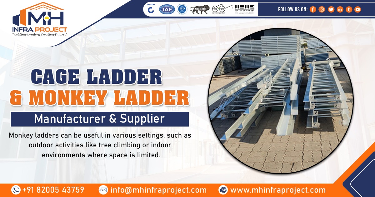 Supplier of Cage Ladder and Monkey Ladder in Haryana